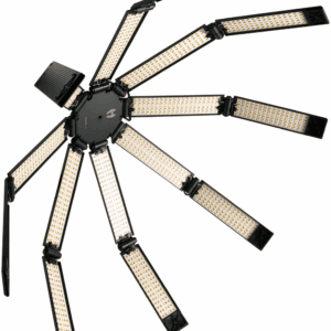 Hudson Spider Redback